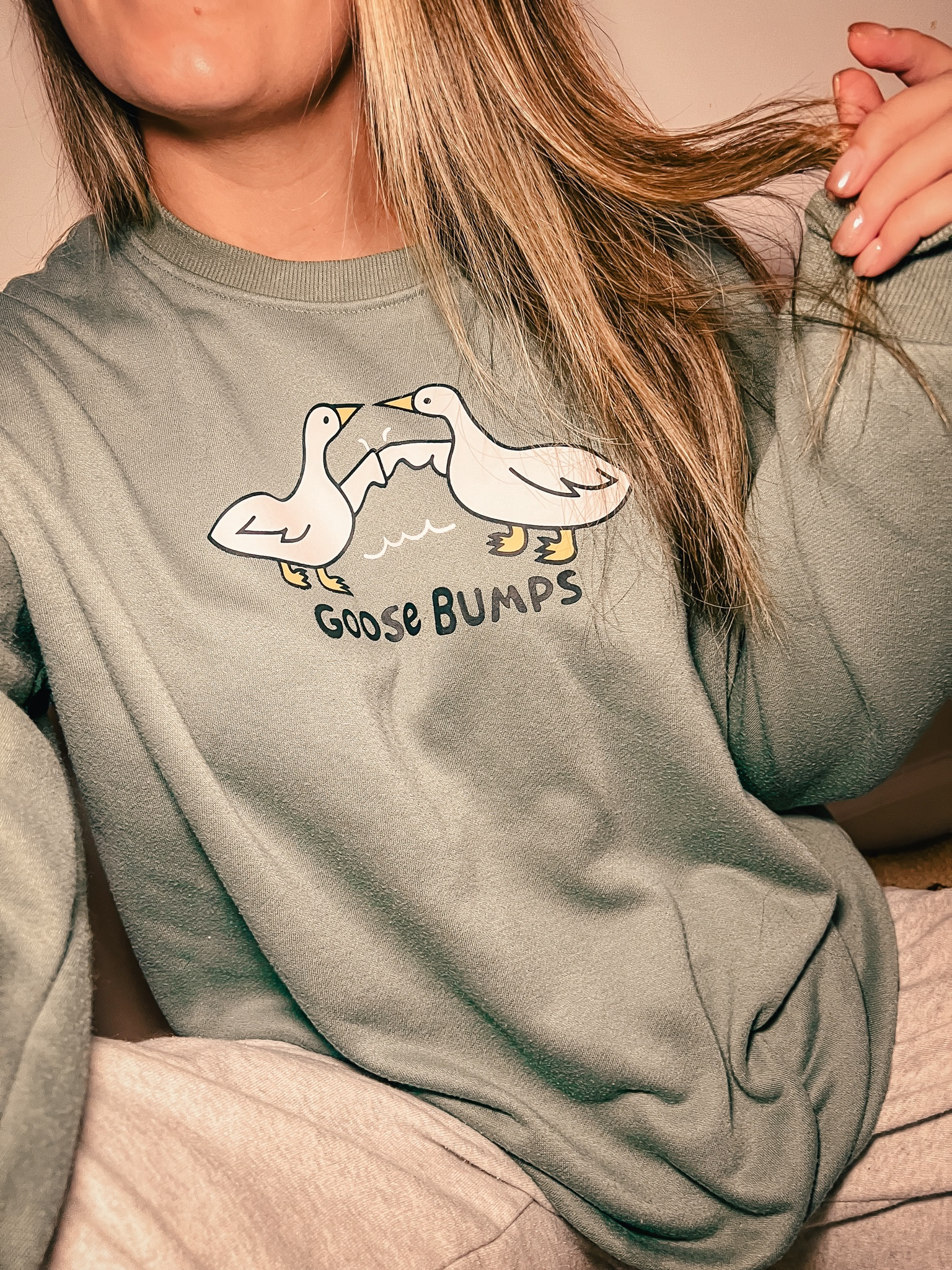 Gift idea for the silliest goose you know 😆 

I personally received this as a gift and I absolutely love it! Give the gift of a silly pullover this holiday season- I’m sure they’ll love it just like I did! 

#amazon #amazonpullover #sillygoose 

#LTKGiftGuide #LTKStyleTip