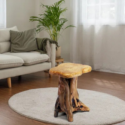 Natural Tree Stump End Table | Wayfair North America