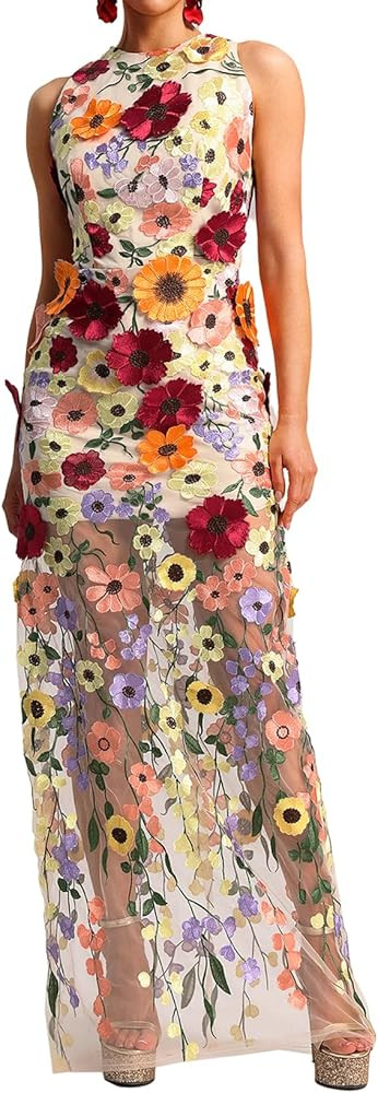 BELLA BARNETT Sleeveless Round Neck Flowers Embroidery Dress Maxi Colorful for Garden Party Tea P... | Amazon (US)