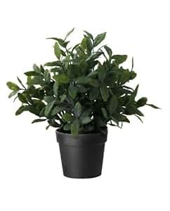 Ikea Artificial Potted Plant, Sage, 9.5 Inch | Amazon (US)