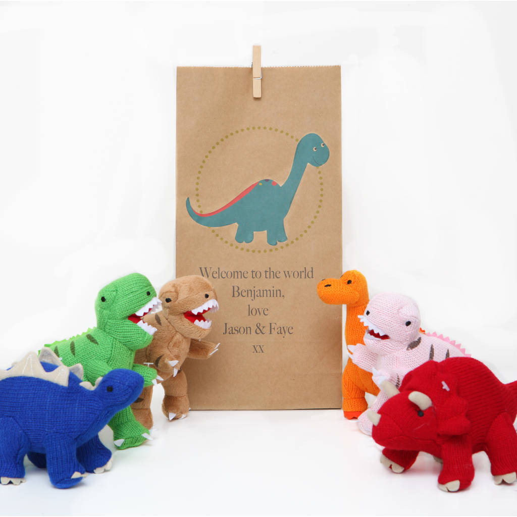 Dinosaur Rattle With Personalised Gift Bag | Notonthehighstreet.com UK