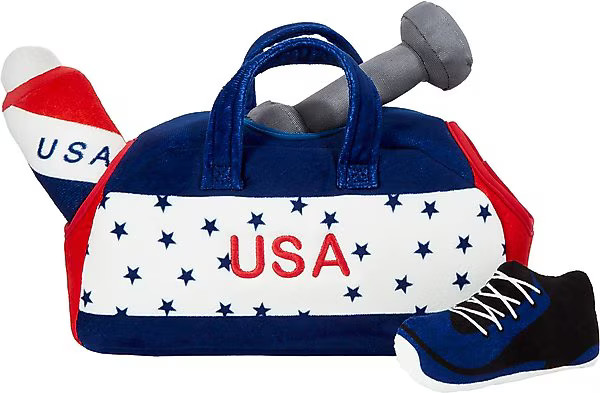 Frisco Hide-and-Seek USA Gym Bag Dog Toy | Chewy.com