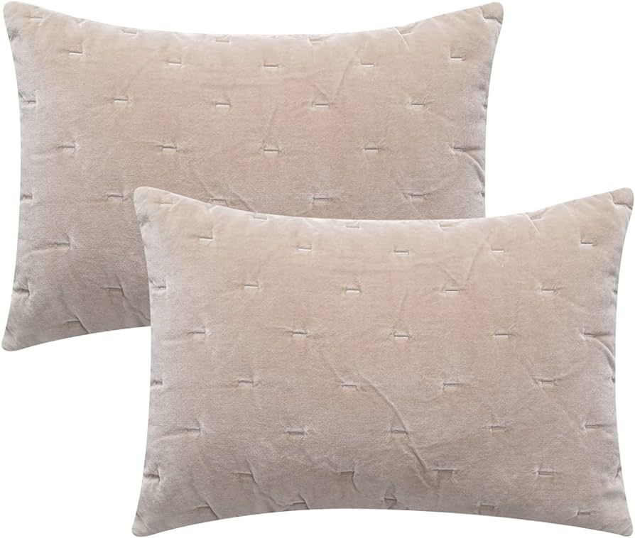 COCOPLOCEUS 26"x26" Euro Sham Pillow Covers Set of 2 Velvet Euro Pillow Covers Decorative Square ... | Amazon (US)