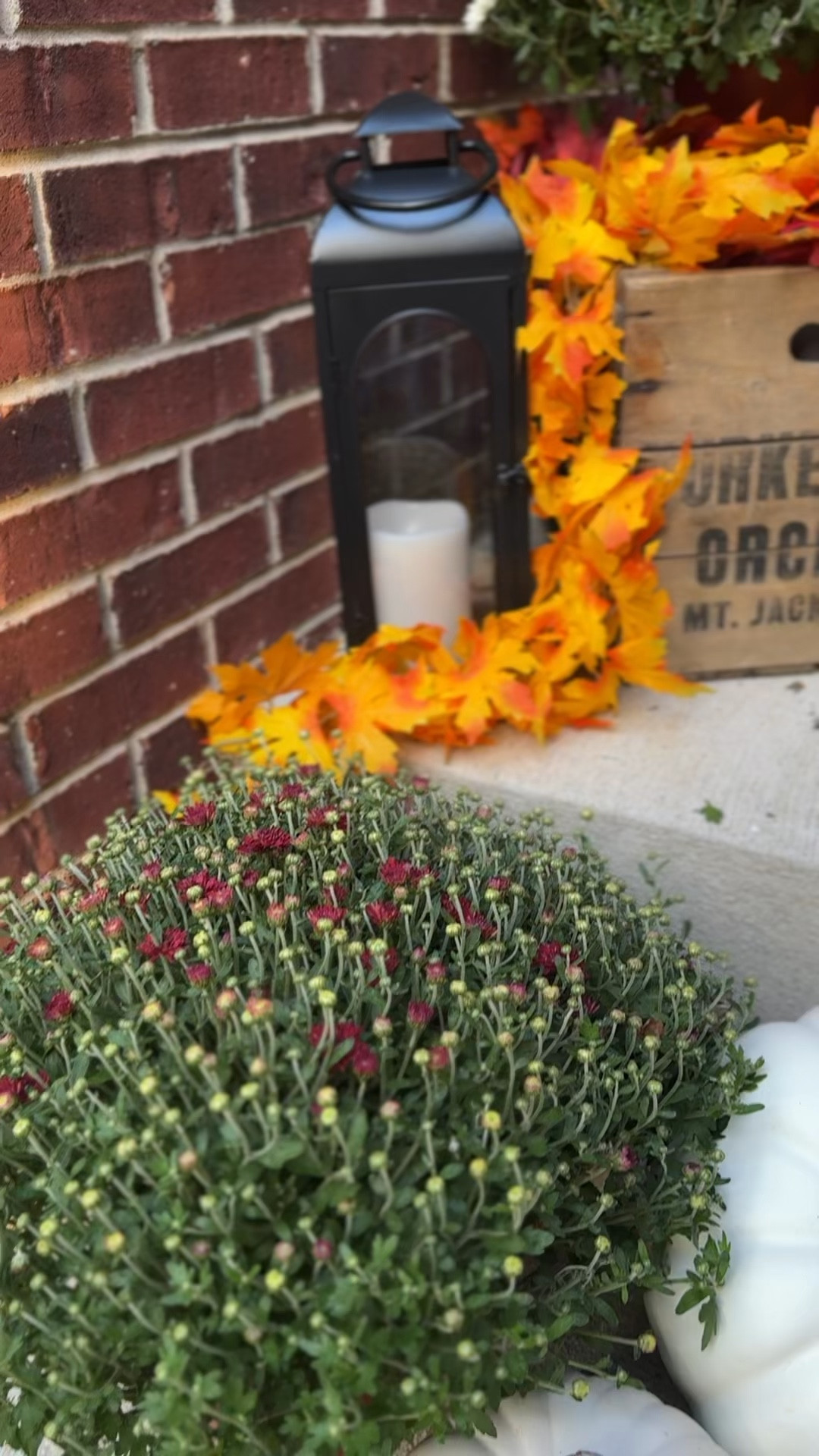 Fall front porch decor

Black outdoor lanterns, glass lanterns, white pumpkins, faux fall leaves, battery operated candles, outdoor candles, fall home decor 
