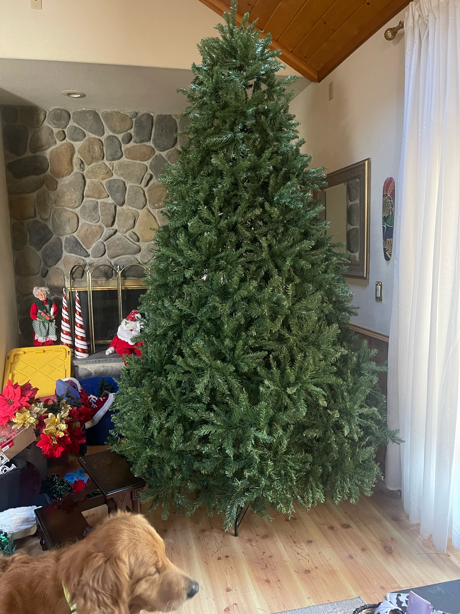 9ft christmas tree! This is our 2nd year with it and love how full it is! #christmastree #christmasdecor

#LTKhome #LTKSeasonal #LTKHoliday