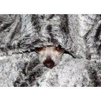 Puppy Dog Blanket, Pet Blanket in Luxury Faux Fur, New Kitten Gift | Etsy (US)