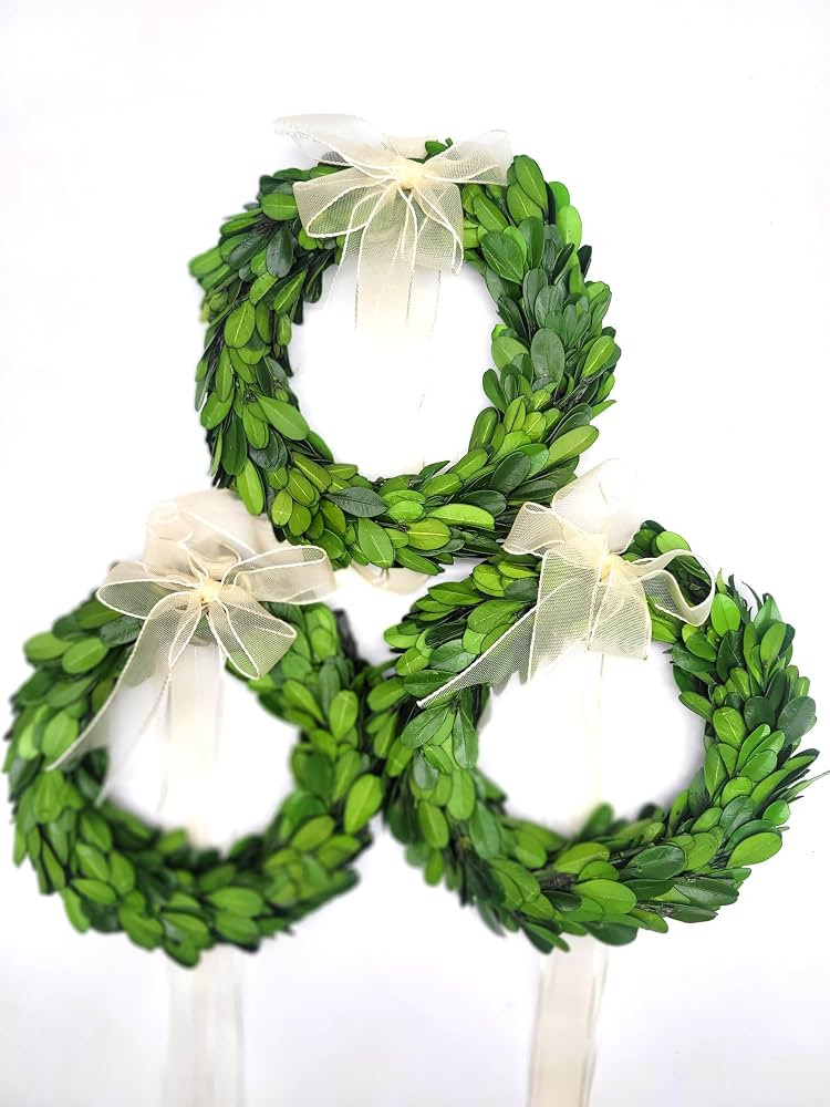 Preserved Boxwood 8 Inch Round Wreath - Set of 3, Table Decor Door Wall Hanging Wedding Farmhouse... | Amazon (US)
