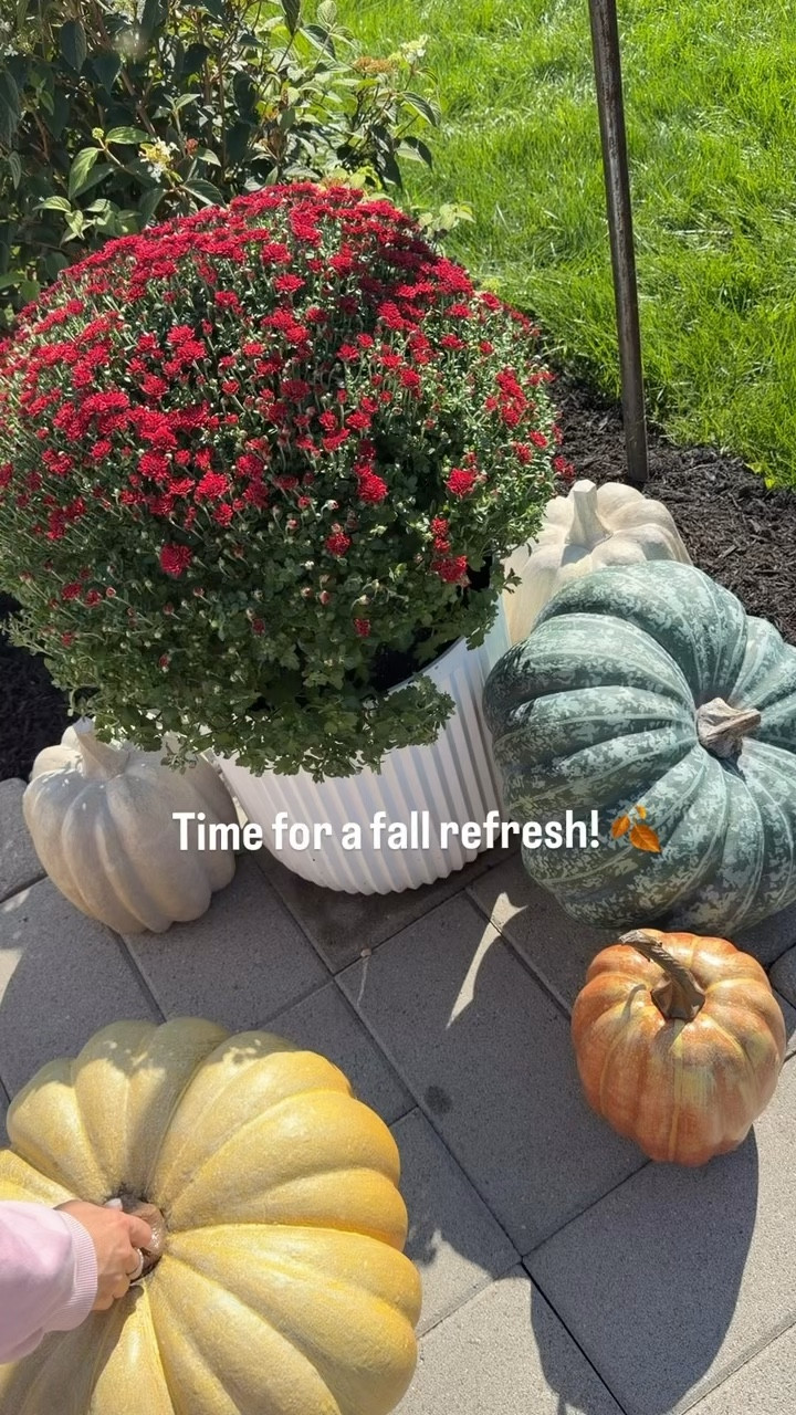 
Fall porch refresh! 

Yep, I just glued my mulch and it’s making my cleanup job in between season so much easier! DOMINATOR mulch anchor is a non-toxic and kid friendly product that will have you second guessing why you didn’t use this before. It allows my patio to look fresh and keeps my mulch secure for up to 2 years! With its water permeable, zero-VOC formula, it makes it safe to use in your gardens too! 