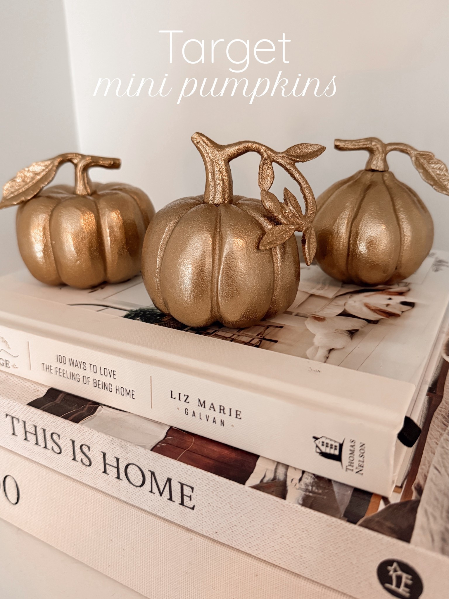 How cute are these mini pumpkins from Target?! Set of three for $25!

#LTKStyleTip #LTKHome #LTKFindsUnder50