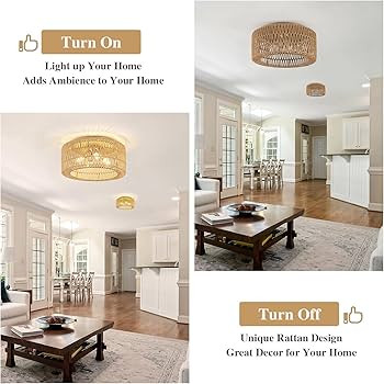 Rattan Light Fixtures Ceiling Mount,4-Lights Boho Flush Mount Ceiling Light with Hand-Woven Shade... | Amazon (US)