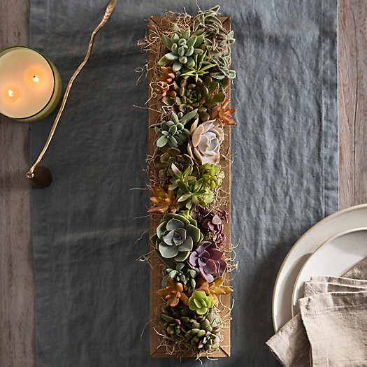 Sun-Loving Succulent Centerpiece Planter | Terrain