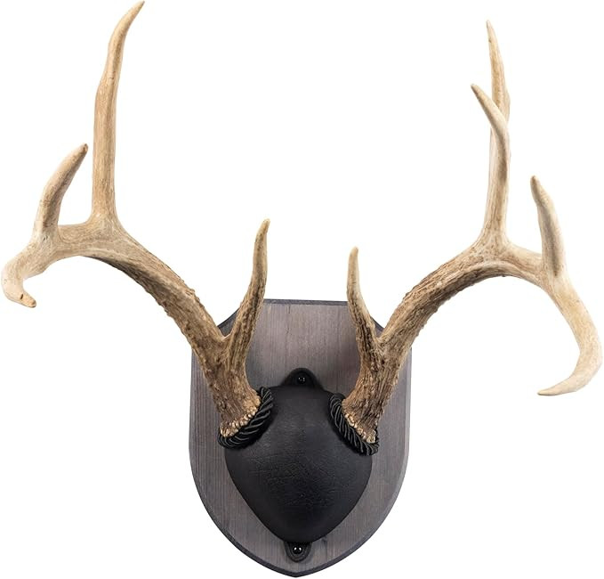 Display Mounting Kit | Amazon (US)