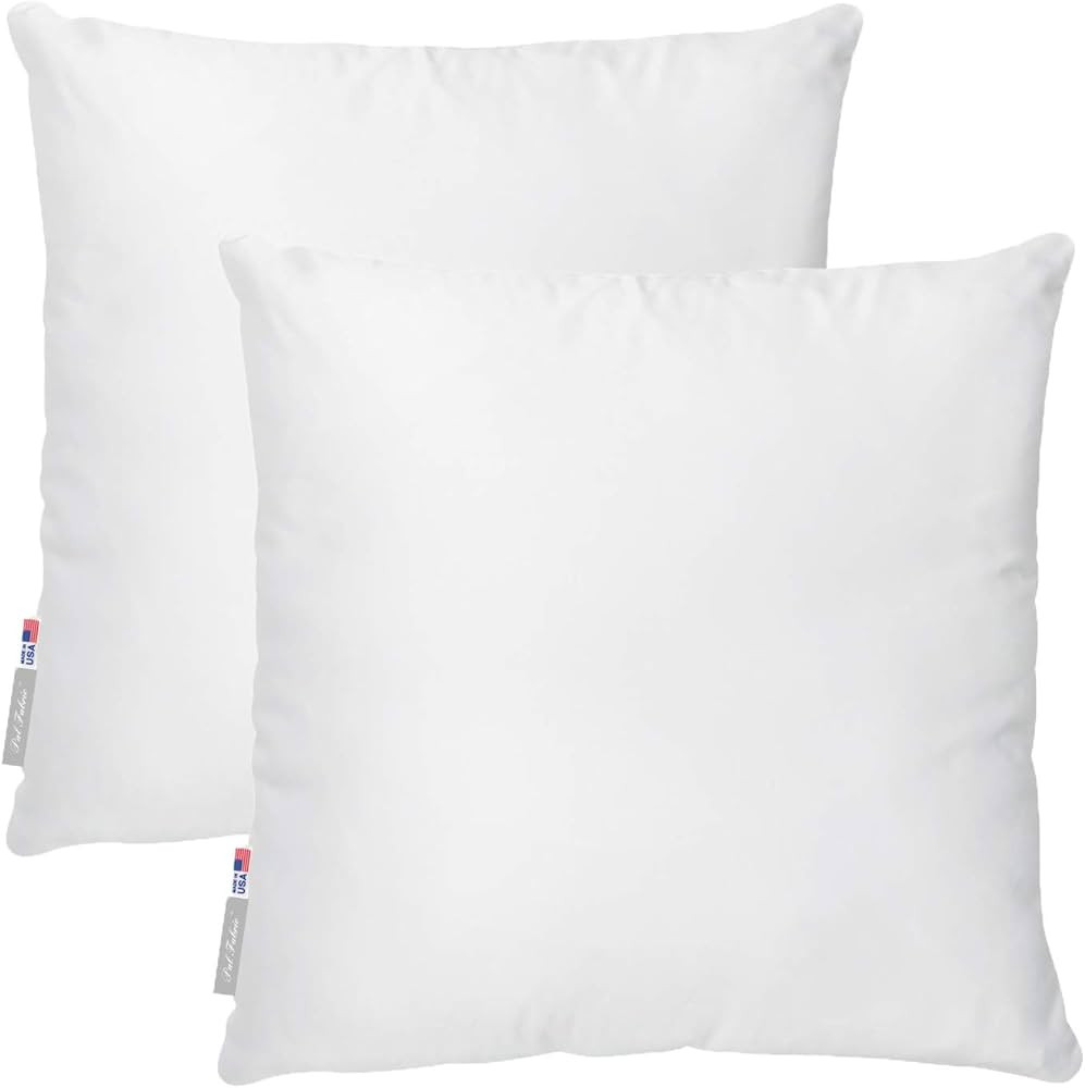 Pal Fabric (Set of 2) Sofa Square Sham Pillow Insert 22X22 Made in USA (22x22) | Amazon (US)