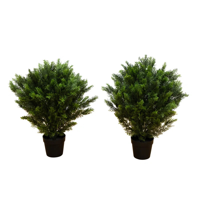 Artificial Cedar Tree UV Resistant (Indoor/Outdoor) - Set of 2 | Wayfair North America