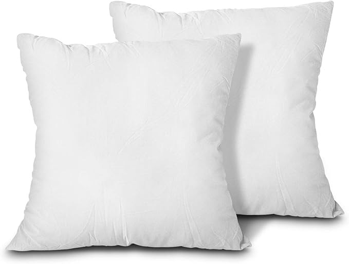 EDOW Throw Pillow Inserts, Set of 2 Lightweight Down Alternative Polyester Pillow, Couch Cushion,... | Amazon (US)