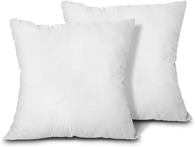 EDOW Throw Pillow Inserts, Set of 2 Lightweight Down Alternative Polyester Pillow, Couch Cushion,... | Amazon (US)