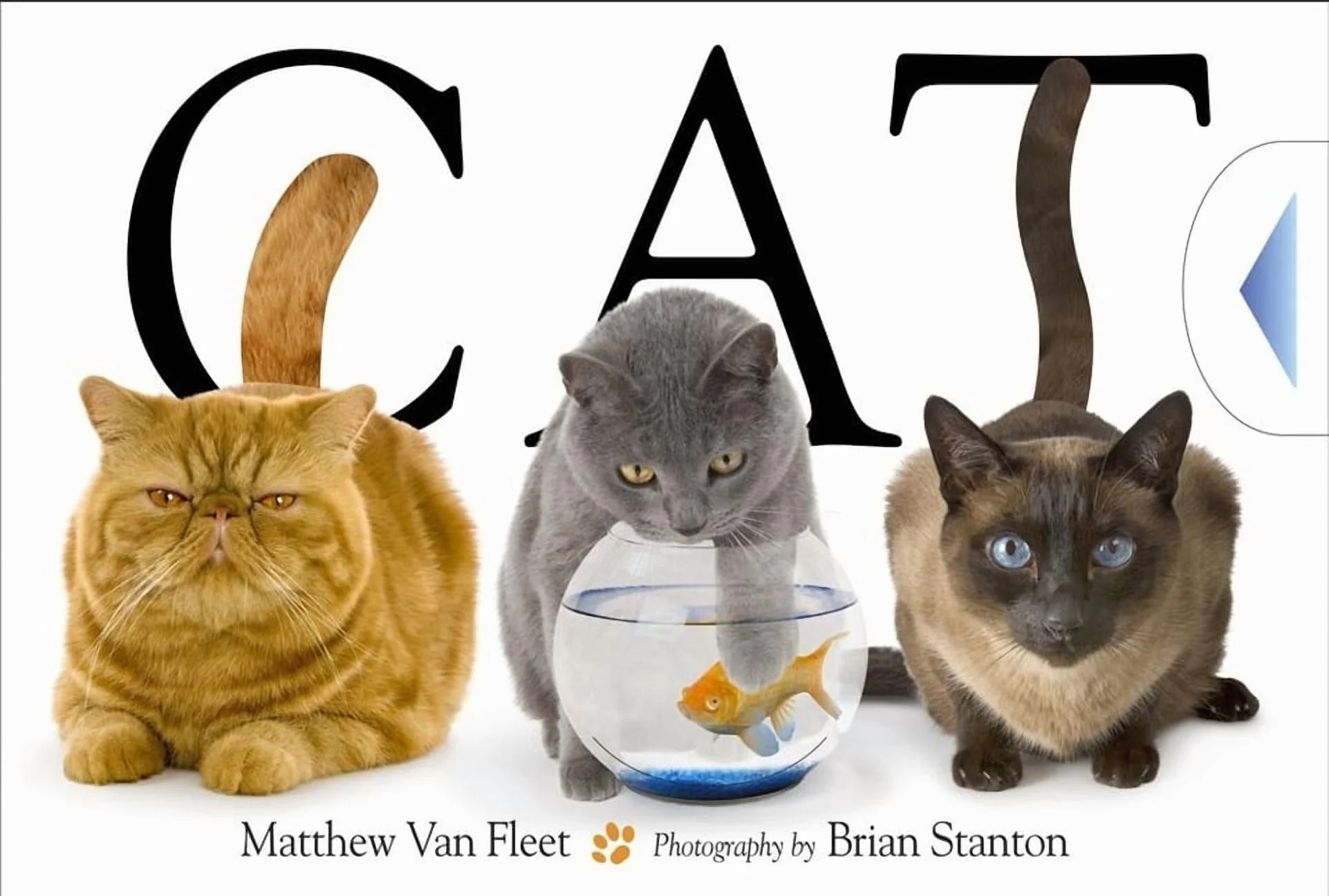 Cat, (Hardcover) | Walmart (US)