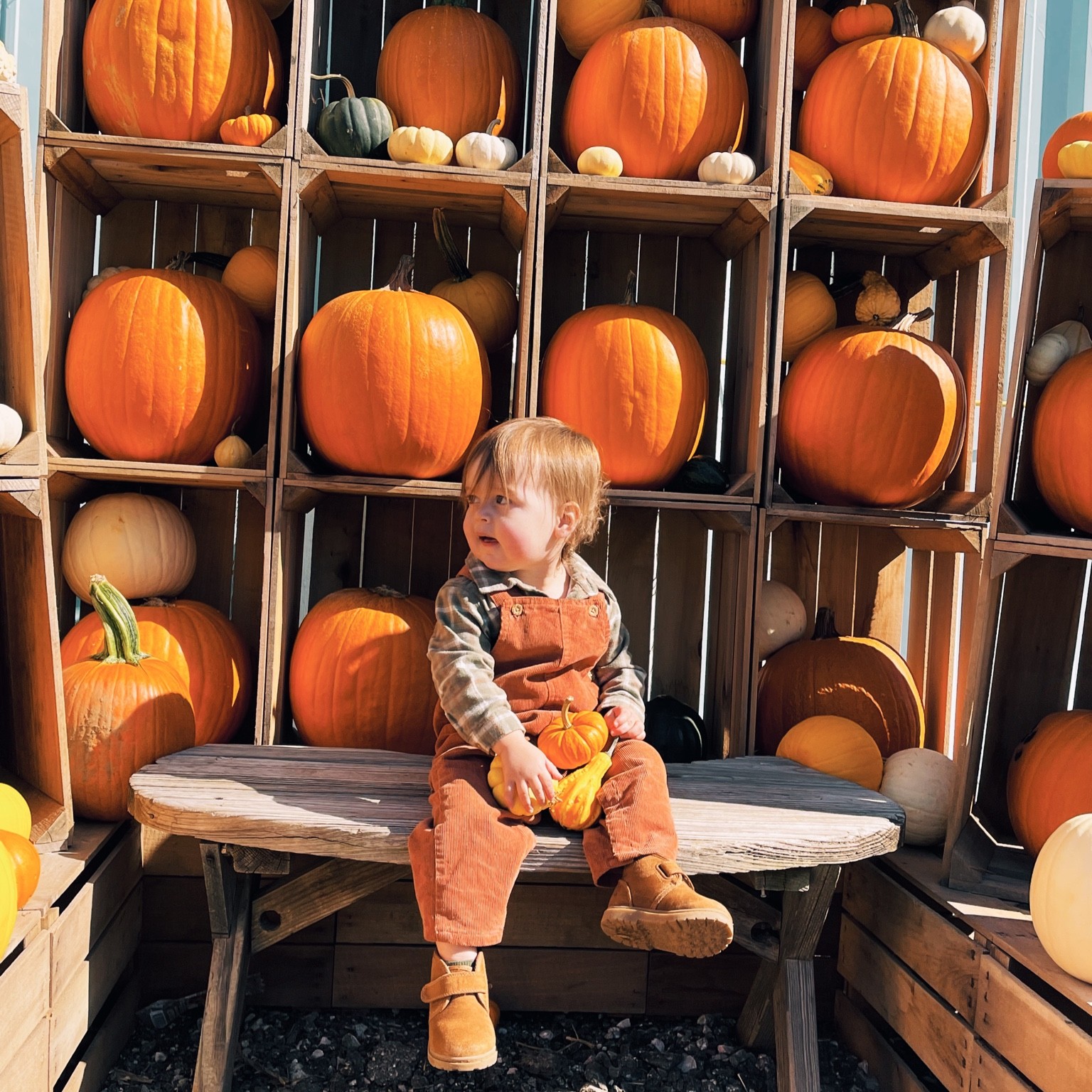 BEST BOOTS FOR FALL & WINTER for your little guys 🥾🙌🏼

#LTKkids #LTKshoecrush #LTKbaby