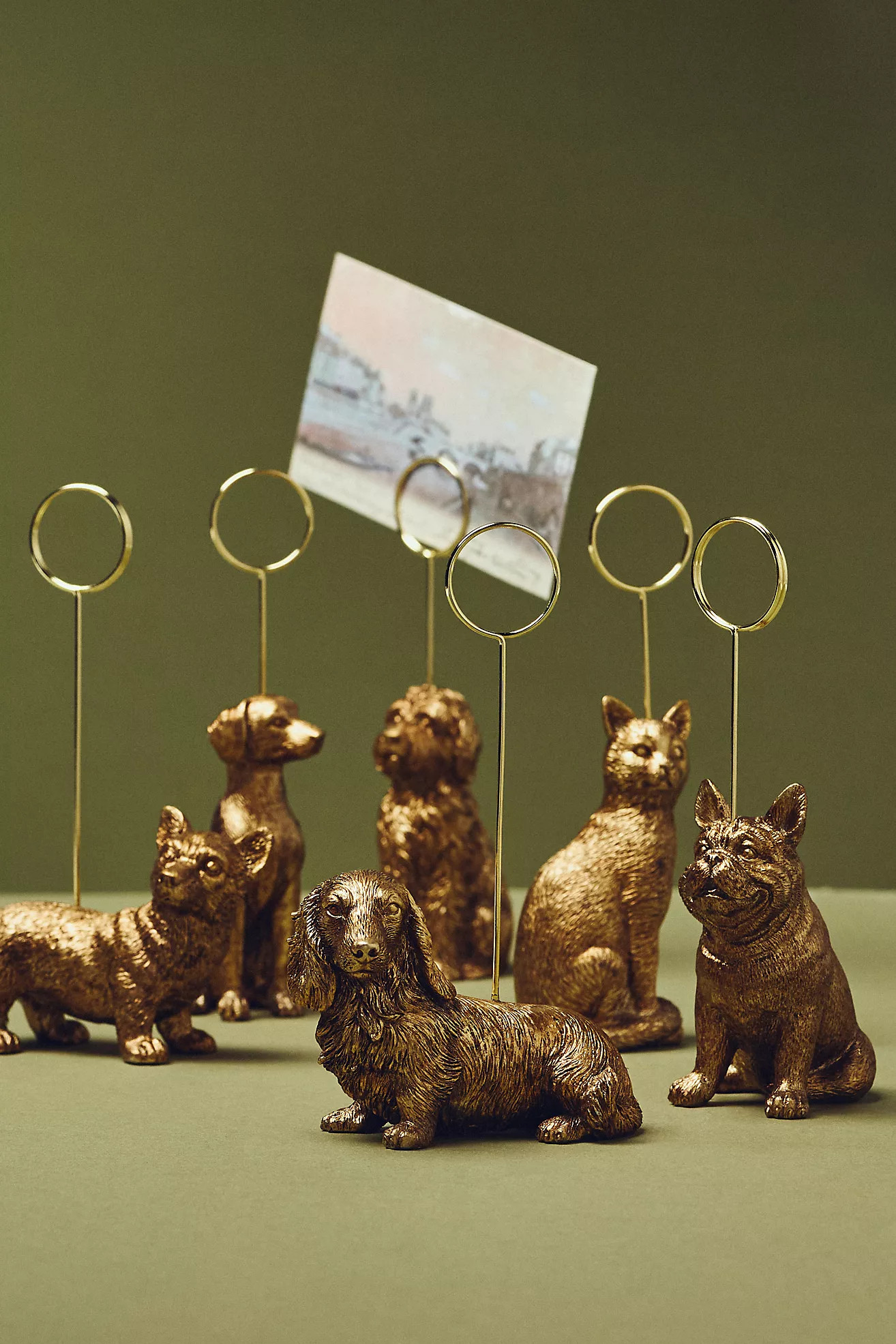 The Animal Icon Photo Holder: Dog Edition | Anthropologie (US)