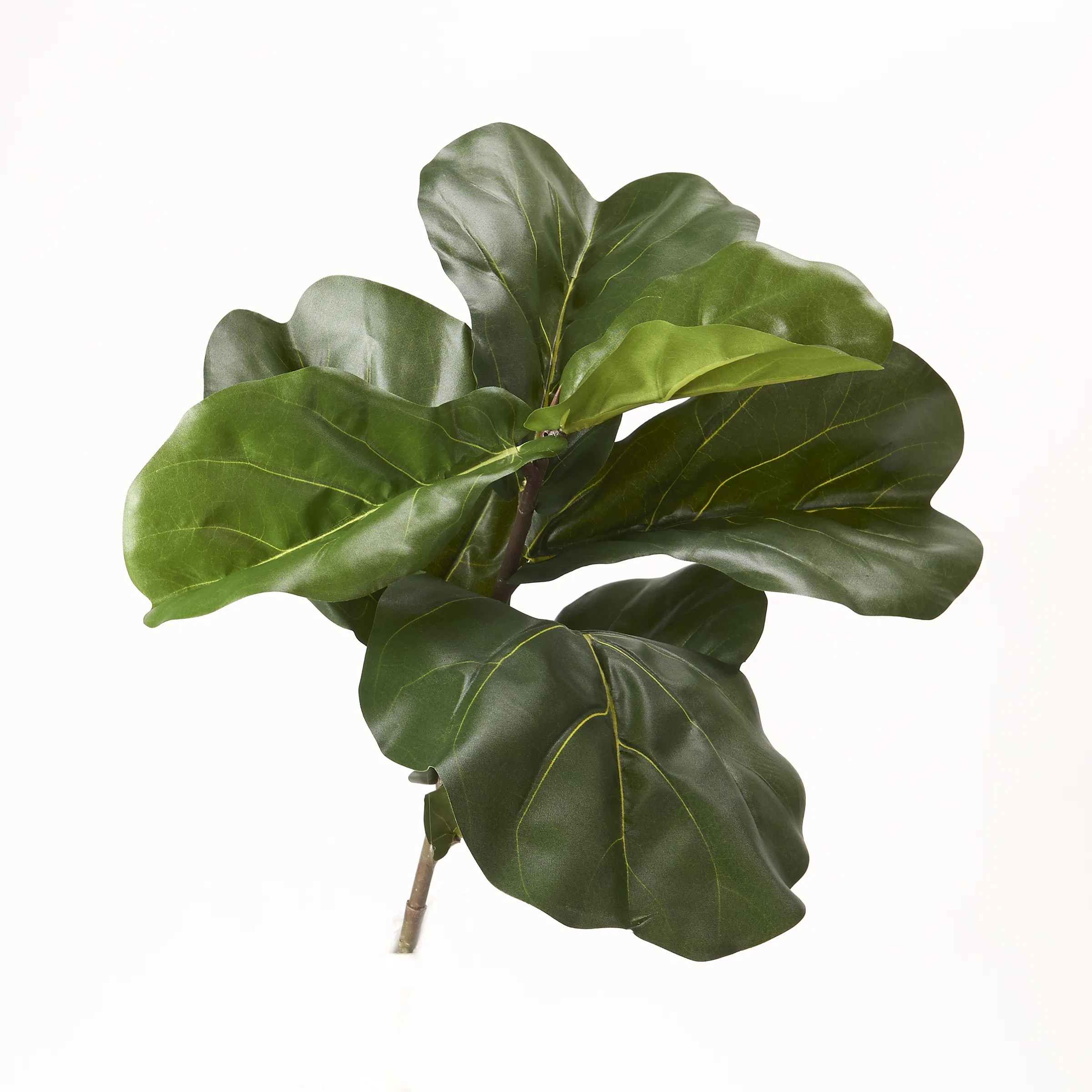 Primrue TL835 21'' Faux Fiddle Leaf Fig Branch | Wayfair | Wayfair North America