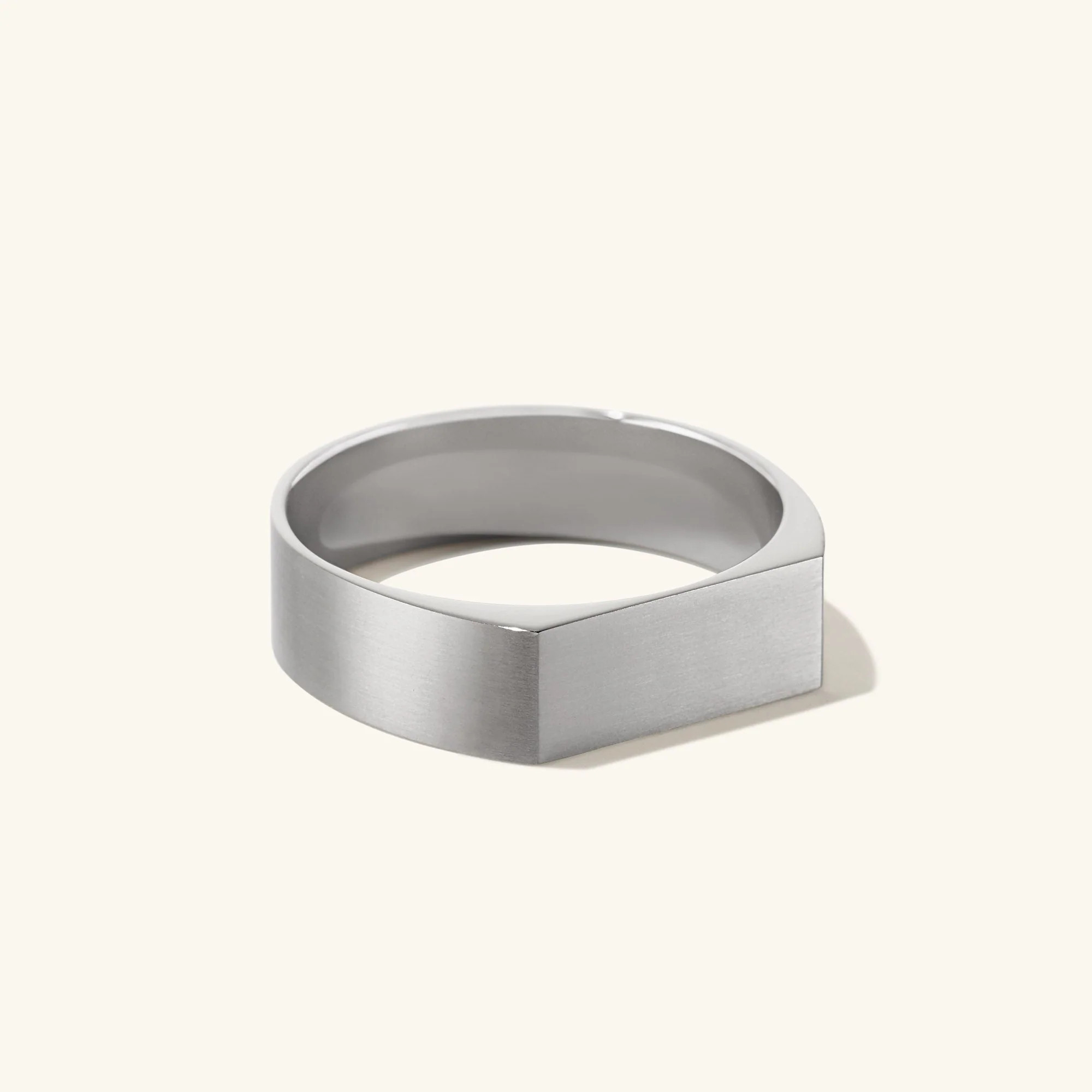 Slim Rectangular Signet Ring | Mejuri Fine Crew