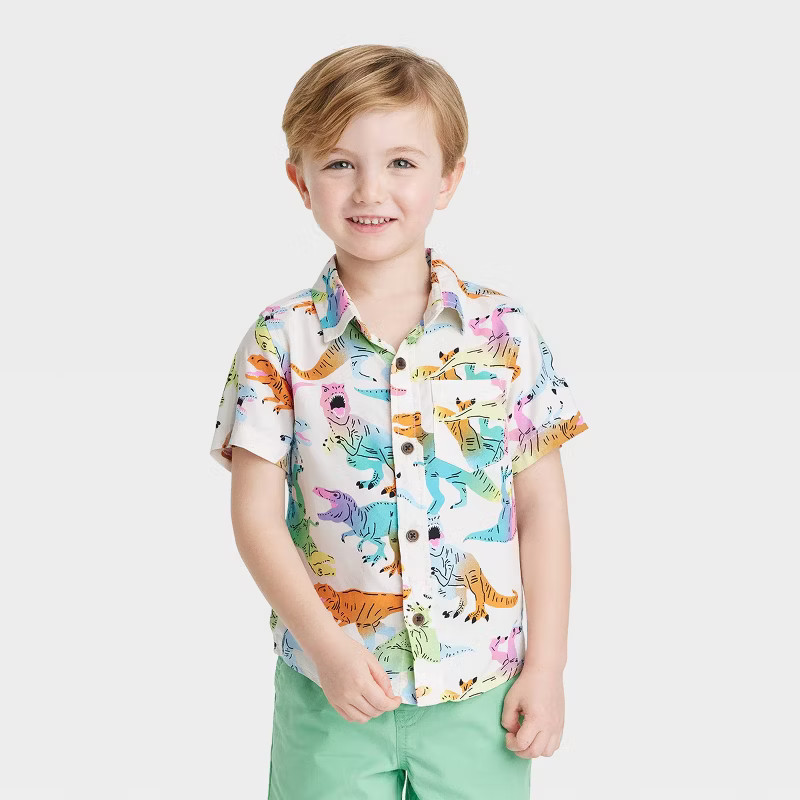 Toddler Boys' Short Sleeve Challis Button-Down Shirt - Cat & Jack™ | Target