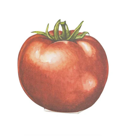 Tomato Place Card - Pack of 12 | Sophistiplate