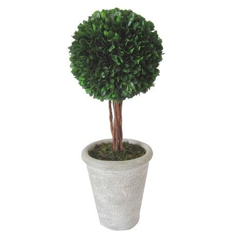 Preserved Boxwood Topiary - Large - Smith & Hawken™ | Target