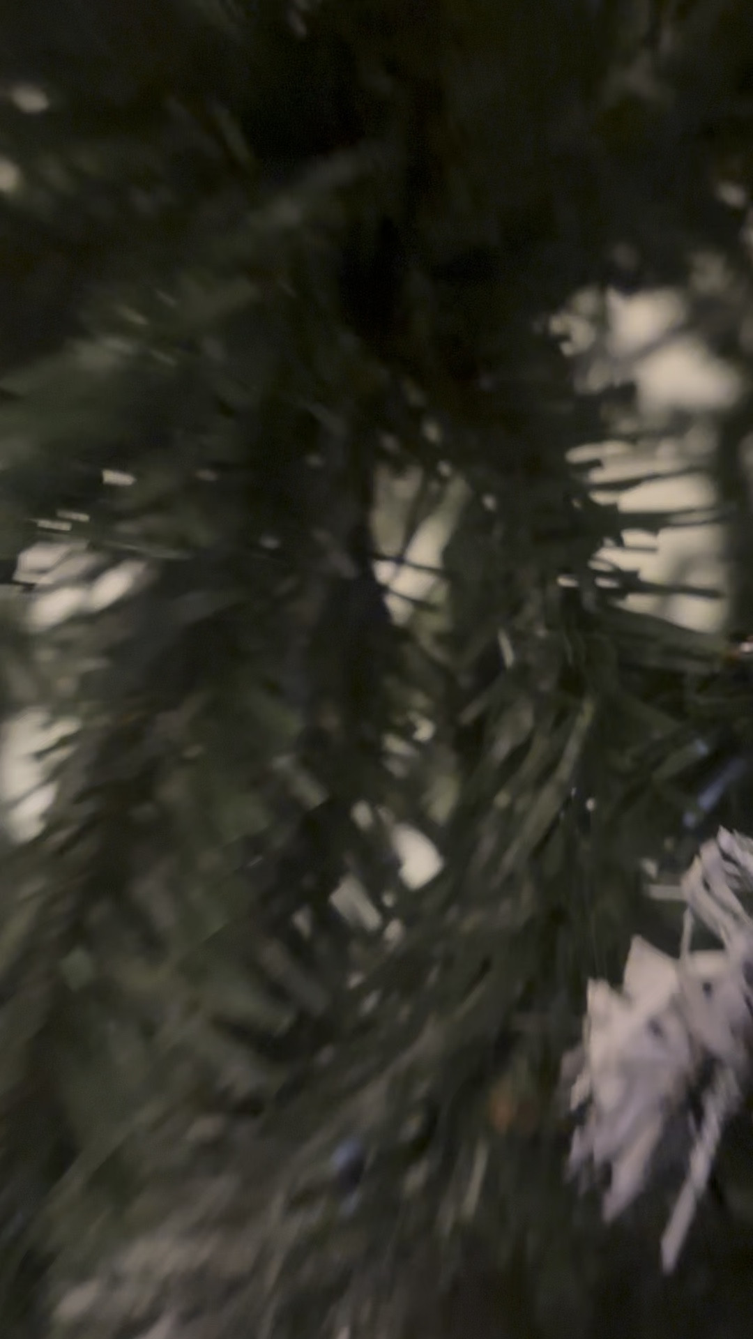 We finally grabbed this Best Choice Products artificial tree and it is so good. The shape is full, the branches fluff beautifully, and it looks high-end without the high price. Such an easy, no-stress setup too — literally took minutes.

If you’re still hunting for the perfect Christmas tree this year, this one is such a good find. Linking the exact one we got! 🤍

#bestchoiceproducts #christmastree #holidaydecor #cozychristmas #christmashome #ltkholiday #ltkhome #festivefinds #holidayaesthetic #christmasvibes #homefortheholidays #decorinspo 

 #LTKHoliday #LTKmomlife #LTKFindsUnder100