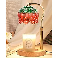 Funistree Flower Candle Warmer Lamp with Timer, Dimmable Candle Lamp Warmer, Valentines Birthday ... | Amazon (US)