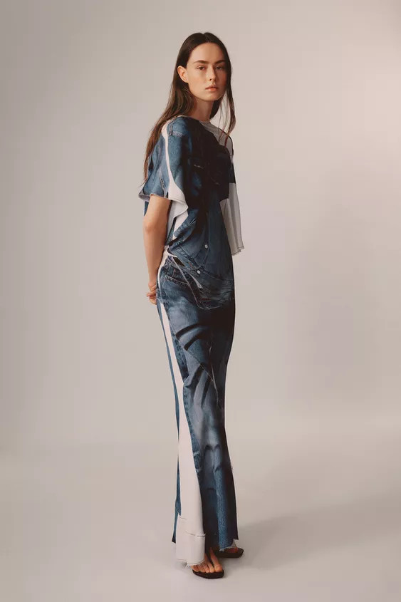 LIMITED EDITION DENIM PRINT DRESS | Zara US