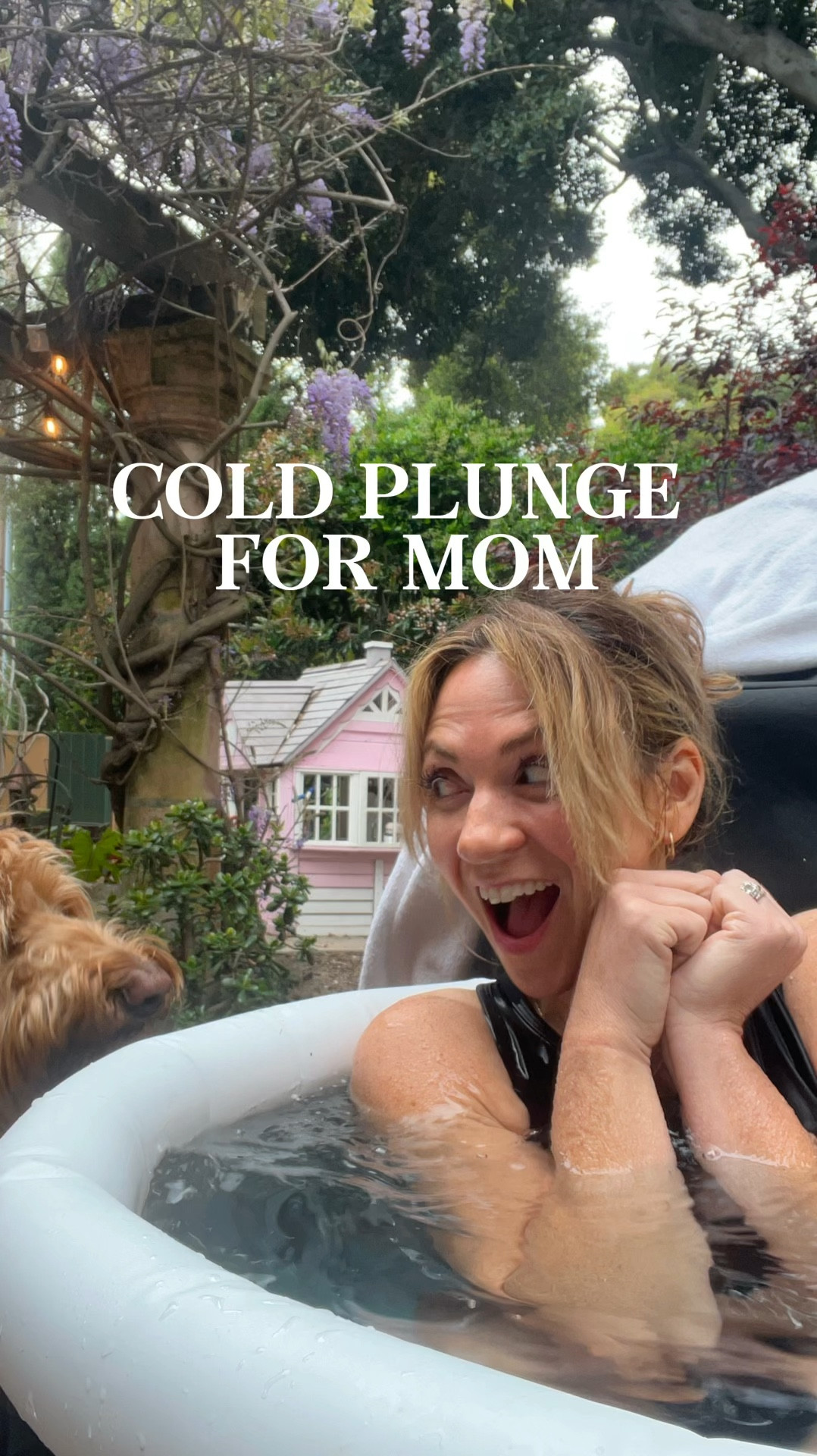 Looking for ideas for Mother’s Day gifts? We are super happy with this portable cold plunge from Amazon. It’s very sturdy, easy to drain and doesn’t take up much space. It also comes with big ice packs you can fill and freeze to chill it with during warmer months. 






Gifts for mom | Mother’s Day gift | mom gifts | self care gifts | fitness gifts | healthy moms | active moms | moms over 40
#LTKhome #LTKvideo

#LTKOver40 #LTKActive #LTKGiftGuide