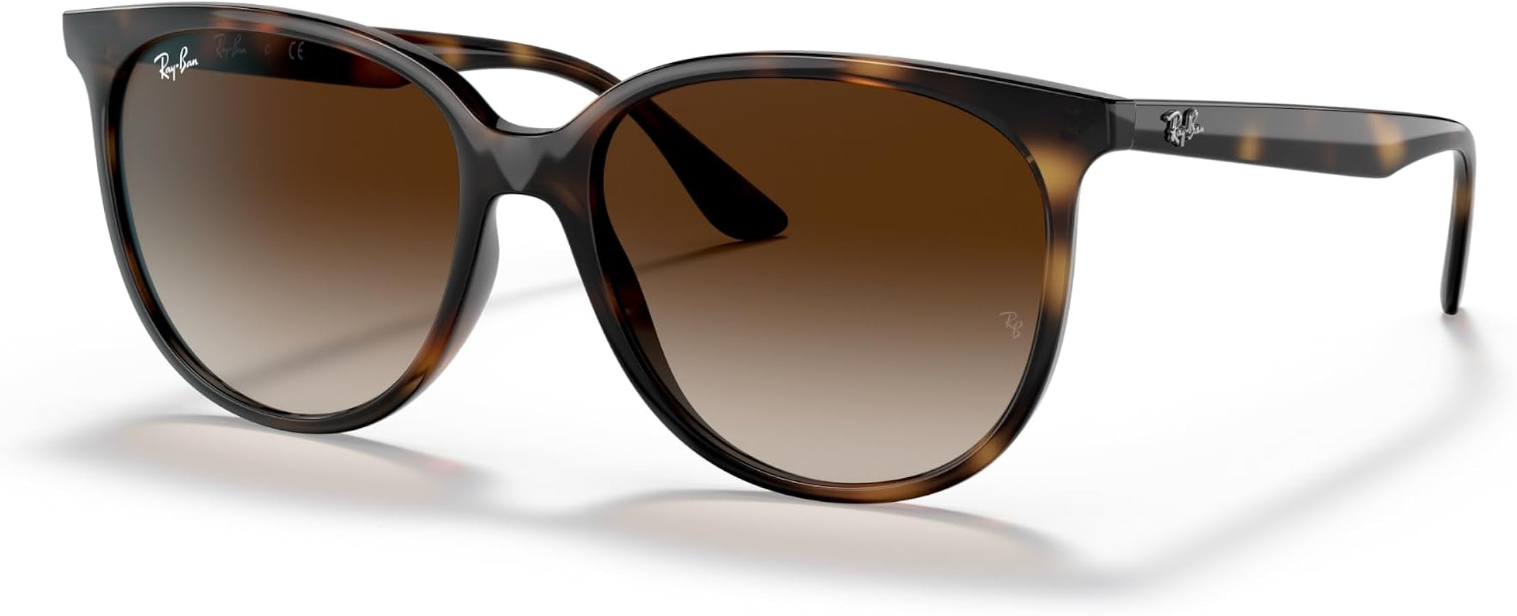 Ray-Ban Womens Rb4378 Square Sunglasses | Amazon (US)