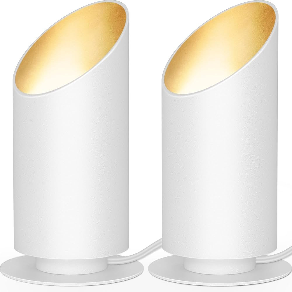 SUNVIE 2 Pack Up Lights Indoor 5W Floor Can Light, Uplights Indoor Floor Spotlight with 2700K GU1... | Amazon (US)