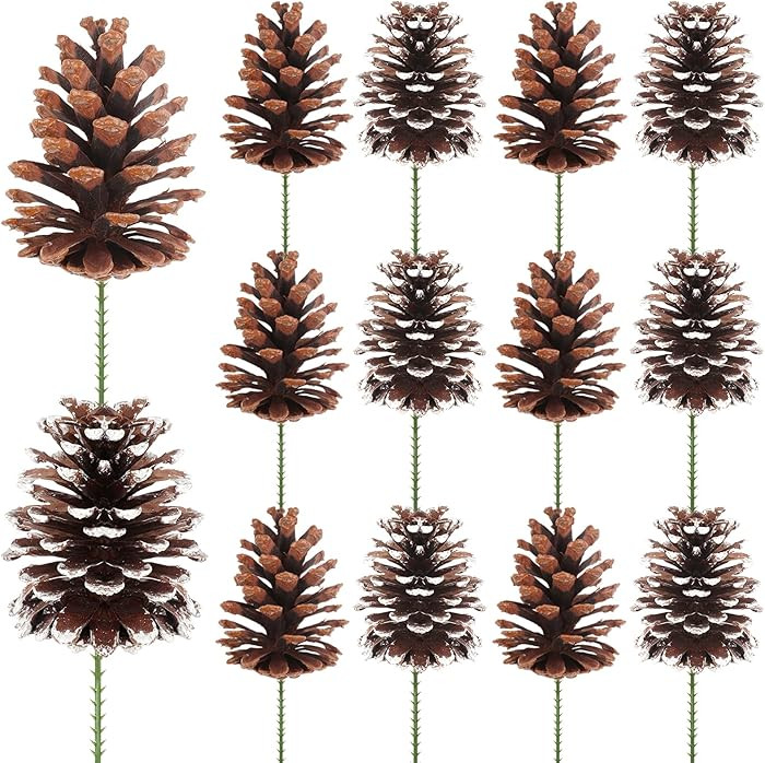 Fangoo 12Pcs 3.1-4.7in Large Natural Pine Cone Picks Snow Christmas Pine Cones with Stems for Cra... | Amazon (US)