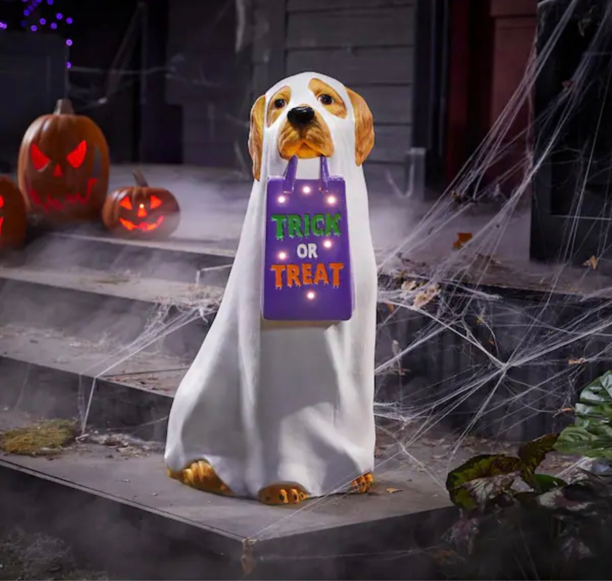 How cute is this golden retriever ghost?! Perfect with my hope you brought boos and dog treat doormat!! #halloween #halloweendecor #halloweenporch #fallporch #halloweenhomedecor 

#LTKfindsunder100 #LTKhome #LTKSeasonal