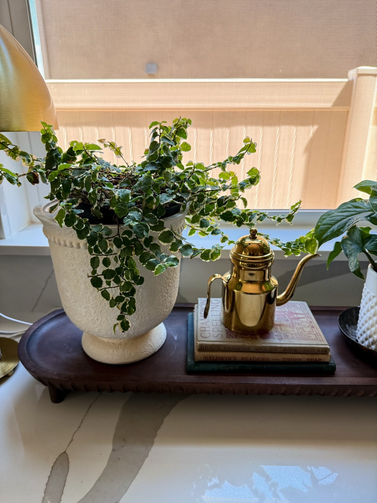 I love adding little touches around my home with plants, thrifted finds, and fun decor pieces. It’s a mix of old and new, but together it makes the space feel cozy, lived in, and so me

#LTKSeasonal #LTKHome