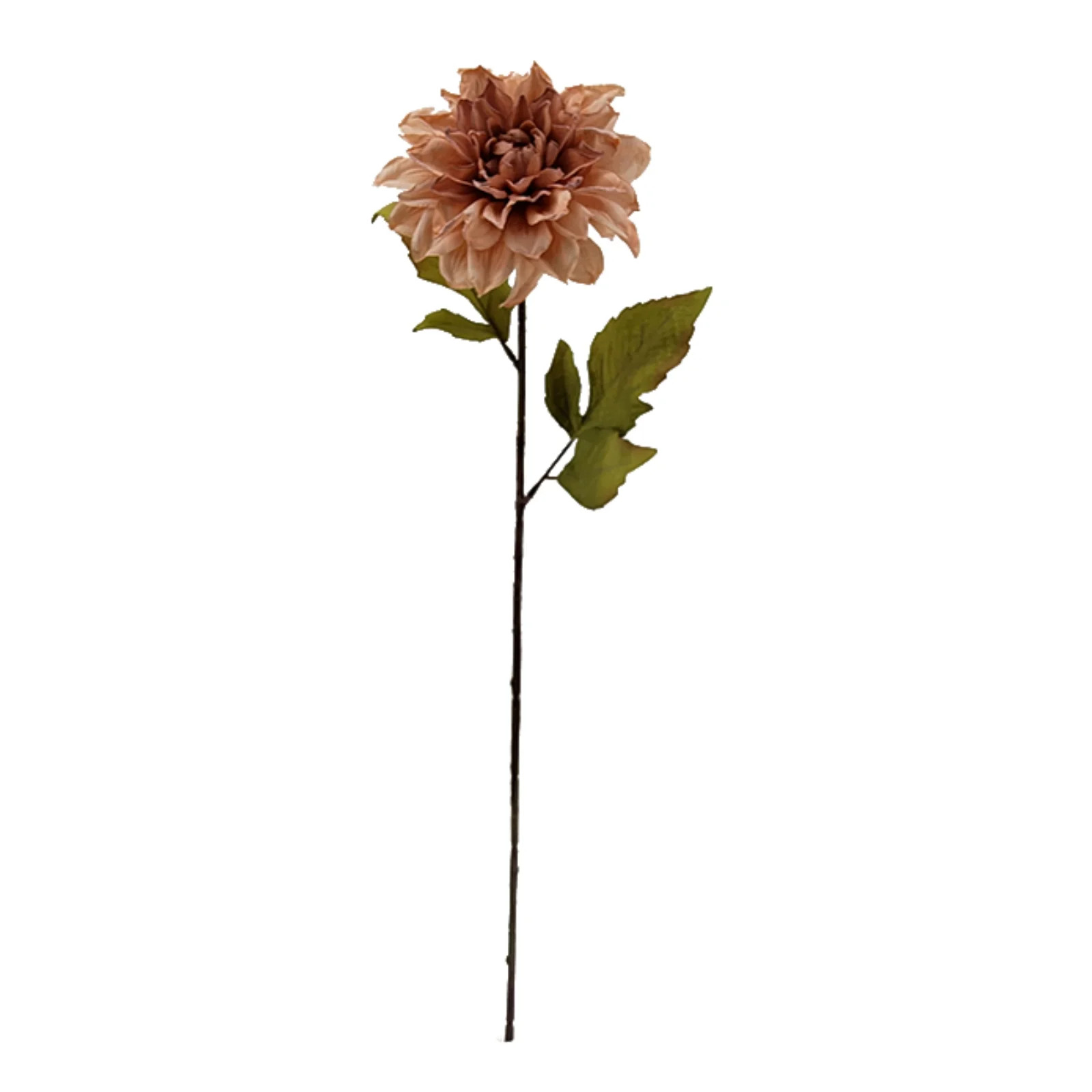 Mainstays Indoor Artificial Flower Stem, Dried Look Dahlia, Cream Color, Assembled Height 24.75" ... | Walmart (US)
