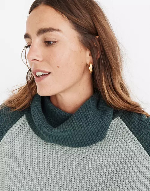 Colorblock Eastbrook Turtleneck Cross-Back Sweater in Cotton-Merino Yarn | Madewell