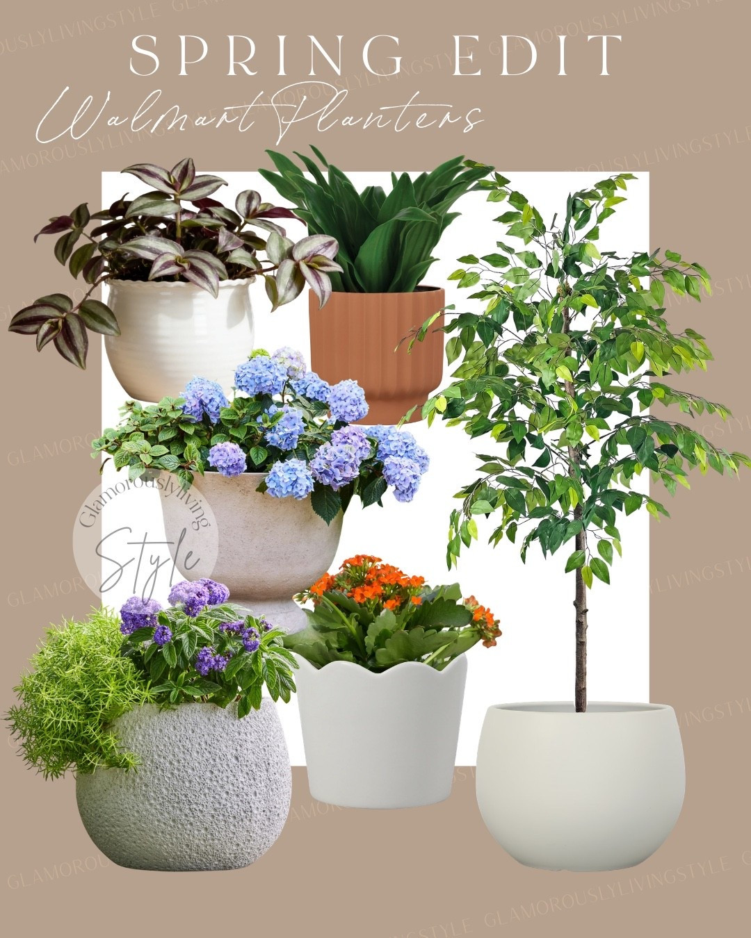 Walmart planters for spring ✨


Outdoor planters | cement planter | terra cotta planter | faux plants | palm tree | spring home decor | gardening | outdoor patio refresh | spring essentials | home decor

#LTKSeasonal #LTKHome #LTKSpringSale