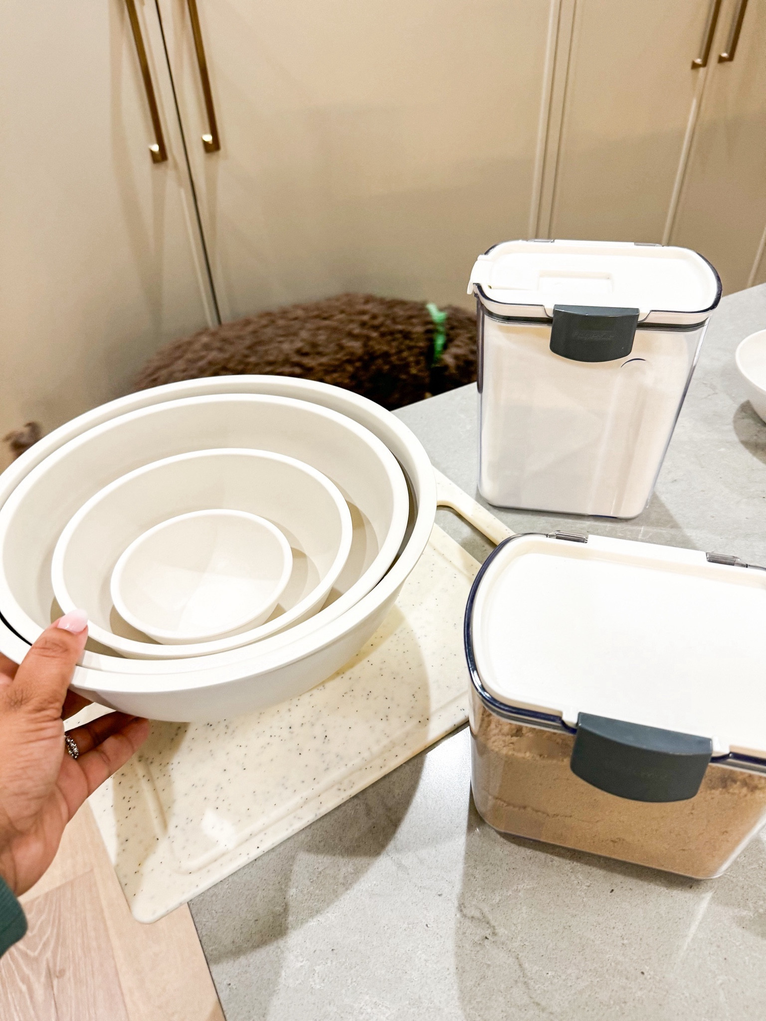 Amazon kitchen essentials 

#LTKhome #LTKfindsunder50