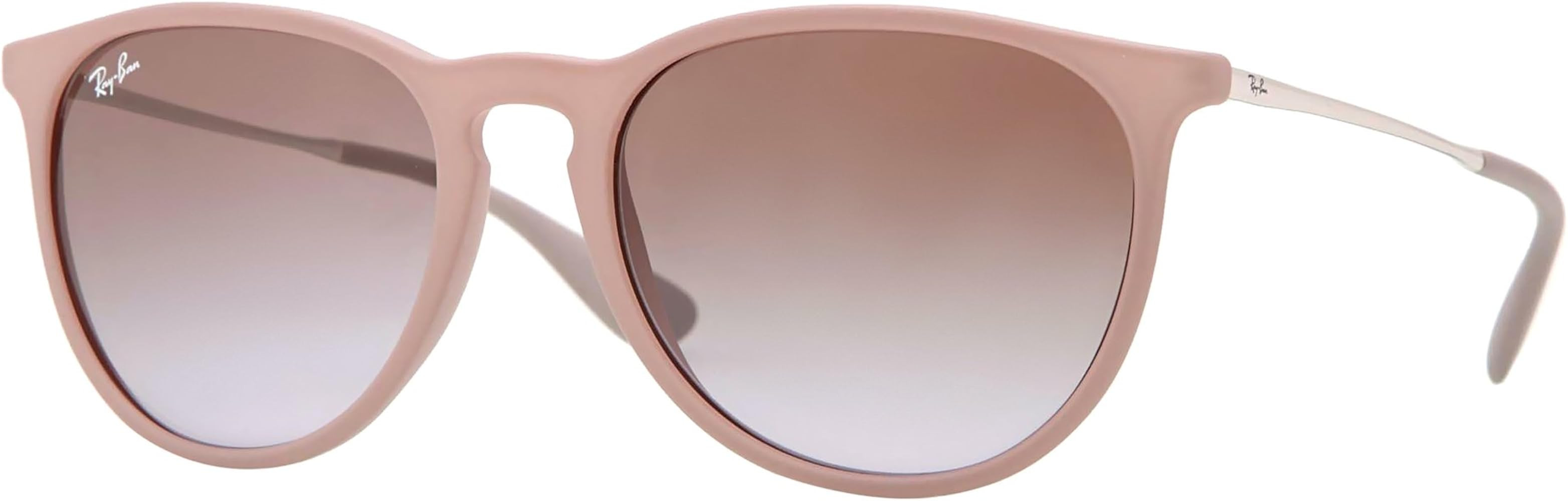 Ray-Ban RB4171 Erika Sunglasses + Vision Group Accessories Bundle | Amazon (US)