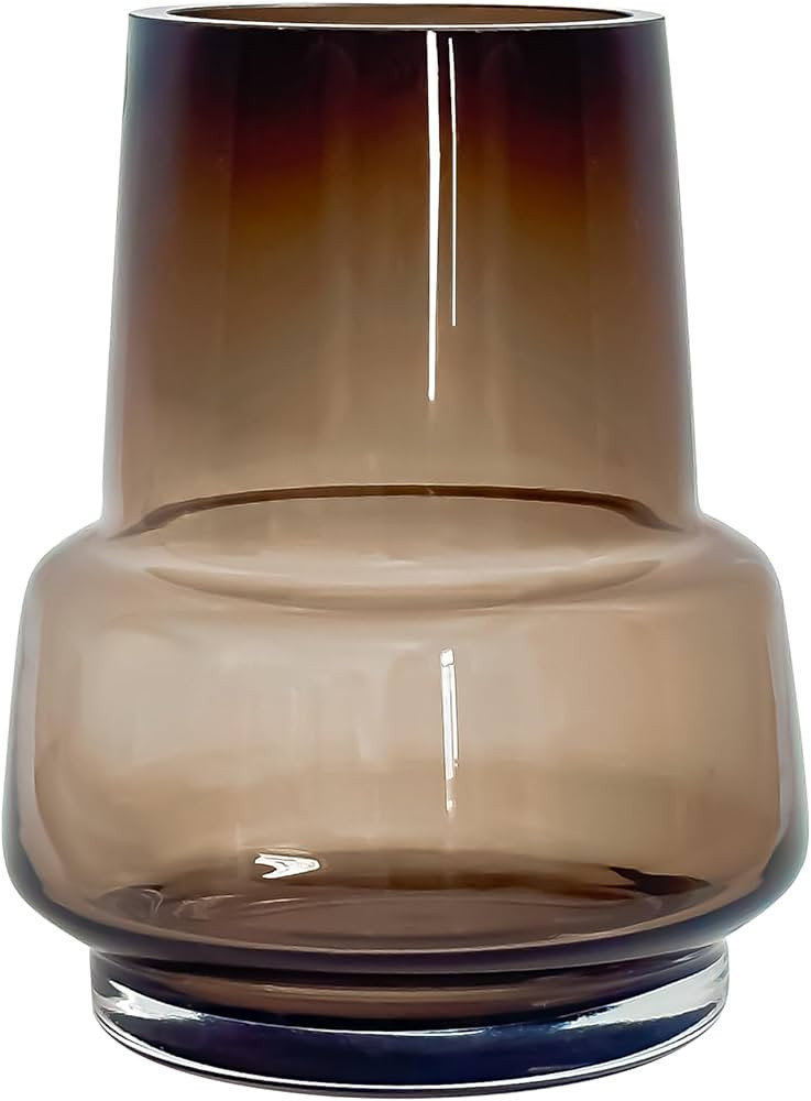 Aoderun Glass Vase for Flowers Handmade Modern Large Flower Vases for Centerpieces Living Room Of... | Amazon (US)