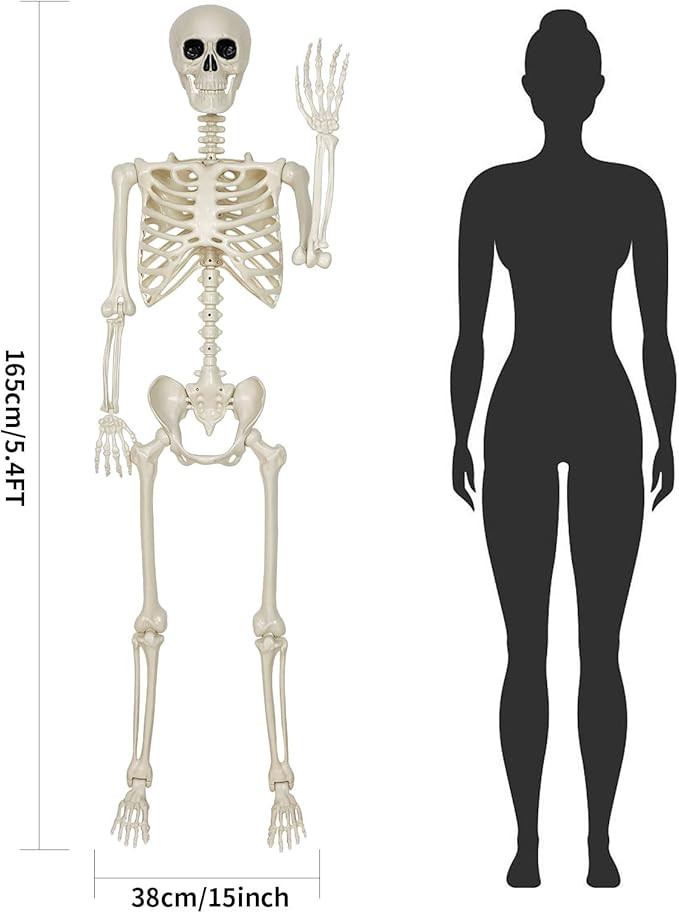Halloween Skeleton Decorations,5.4FT Posable Human Skeleton Decorations for Halloween Party Decor... | Amazon (US)