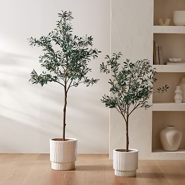 Faux Potted Olive Tree | West Elm (US)