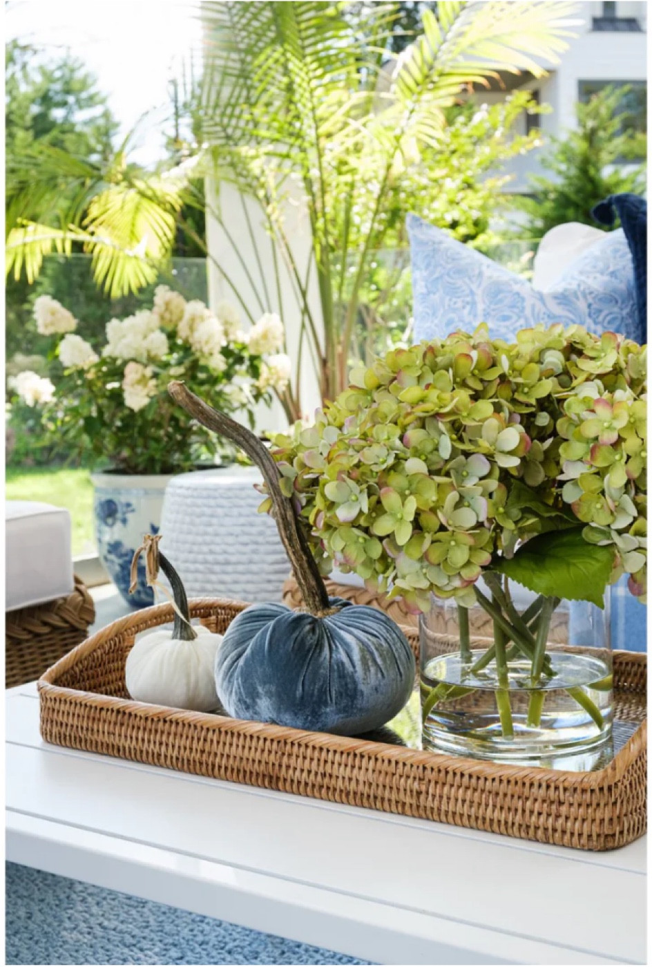 Fall decor, blue velvet pumpkins faux hydrangea arrangements 

#LTKsalealert #LTKstyletip #LTKhome
