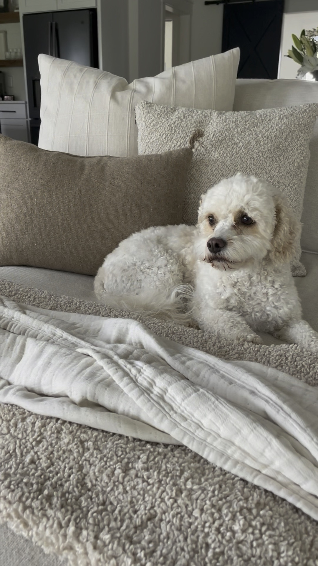 warm and neutral throw pillows 🤍 textured throw pillows | affordable throw pillows | neutral home decor

#LTKunder50 #LTKstyletip #LTKhome