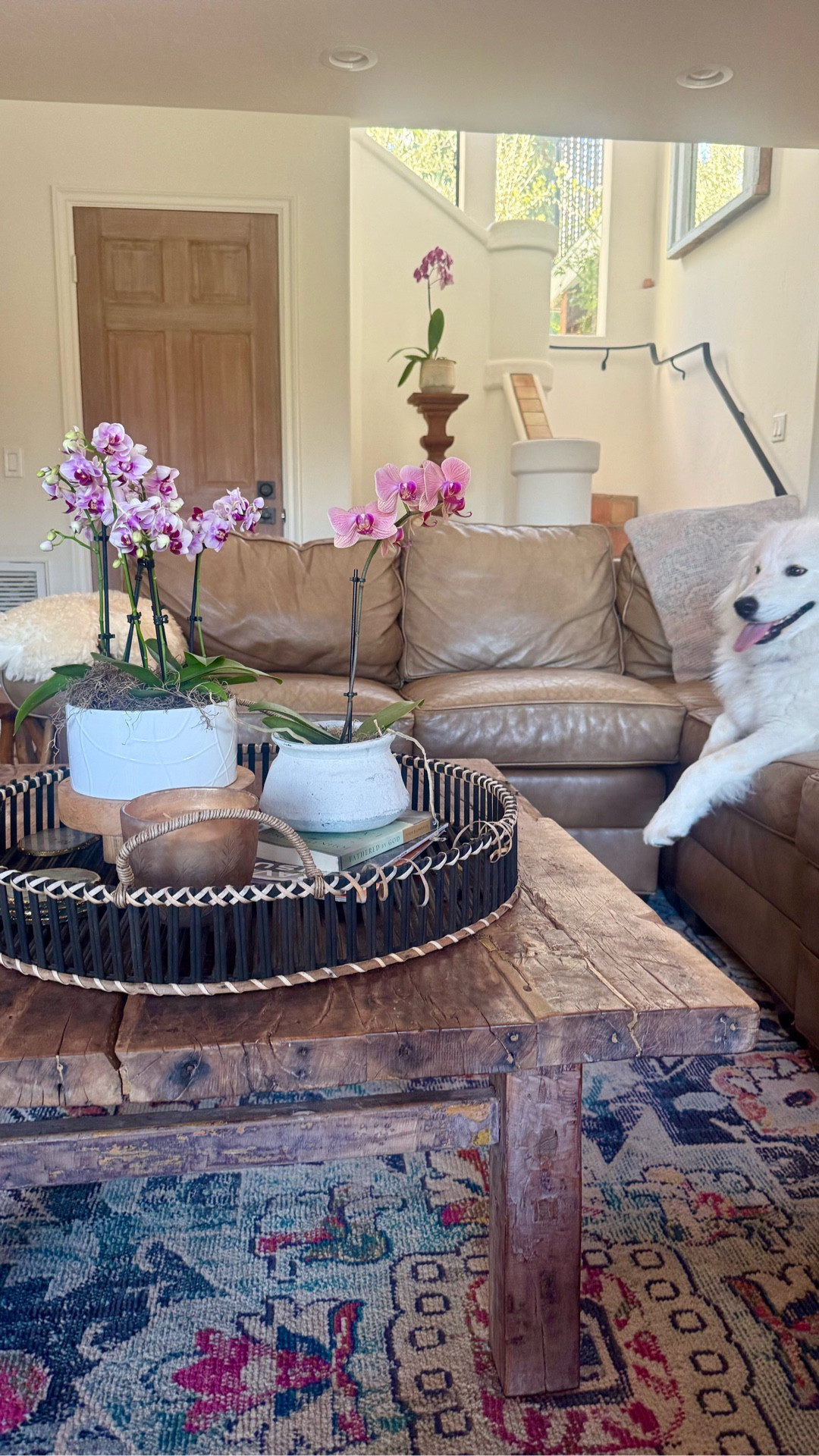Living Room Home Decor Inspo!

I added in vintage pieces with new for a modern rustic design look. 👍

I mixed this brown leather couch, vintage style throw rug, artificial orchids, candles, and rustic wood coffee table for a cozy style.

#artificalplants #coasters #leathersofa #throwrugs #marneystidbits
#LTKHome #LTKSaleAlert
#LTKspringtrends
