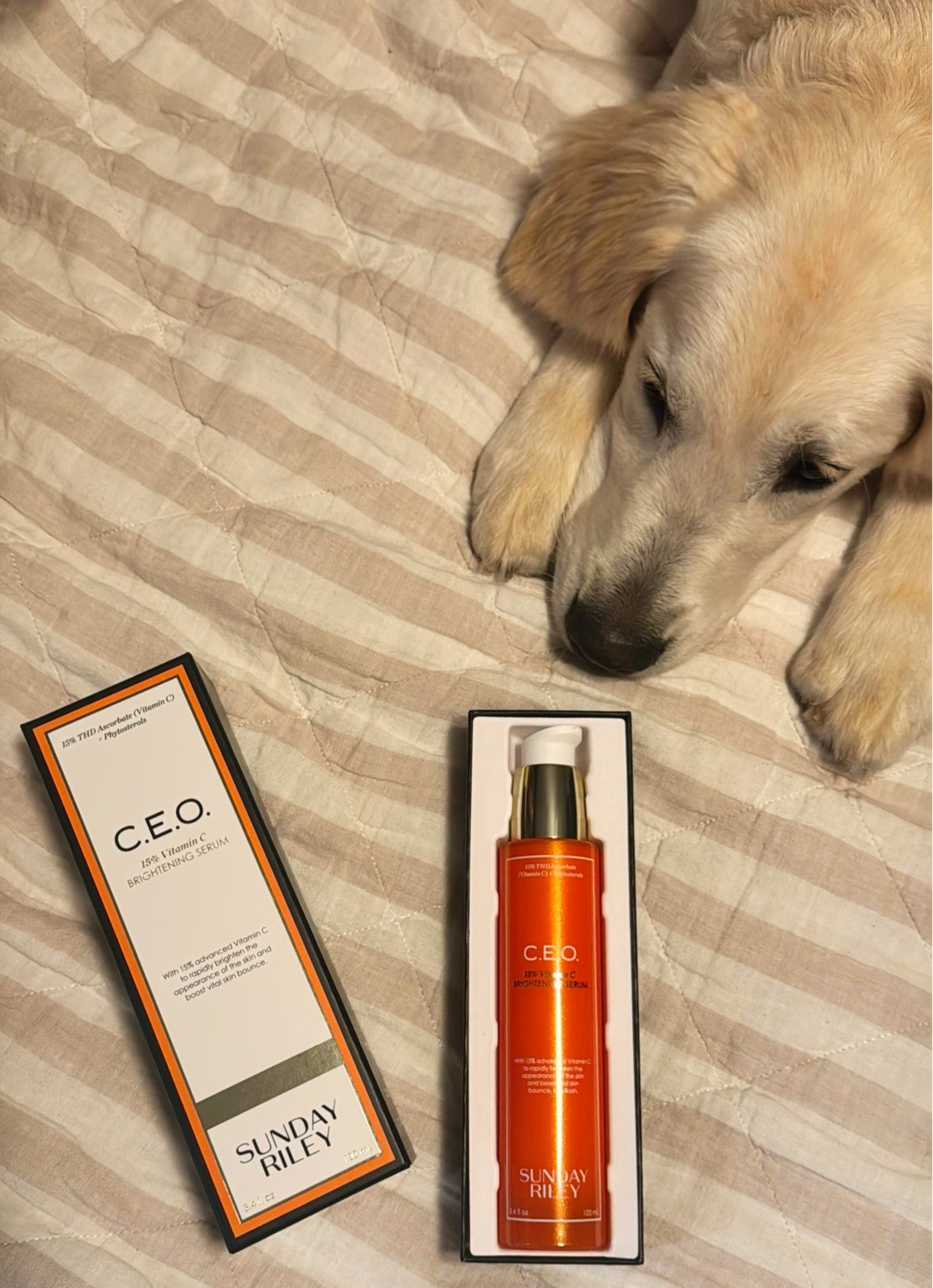 getting our glow on with this vitamin C Brightening serum - most concentrated dose and fast absorbing! ✨ 25# off site wide right now!

#LTKBeauty #LTKSaleAlert #LTKOver40
