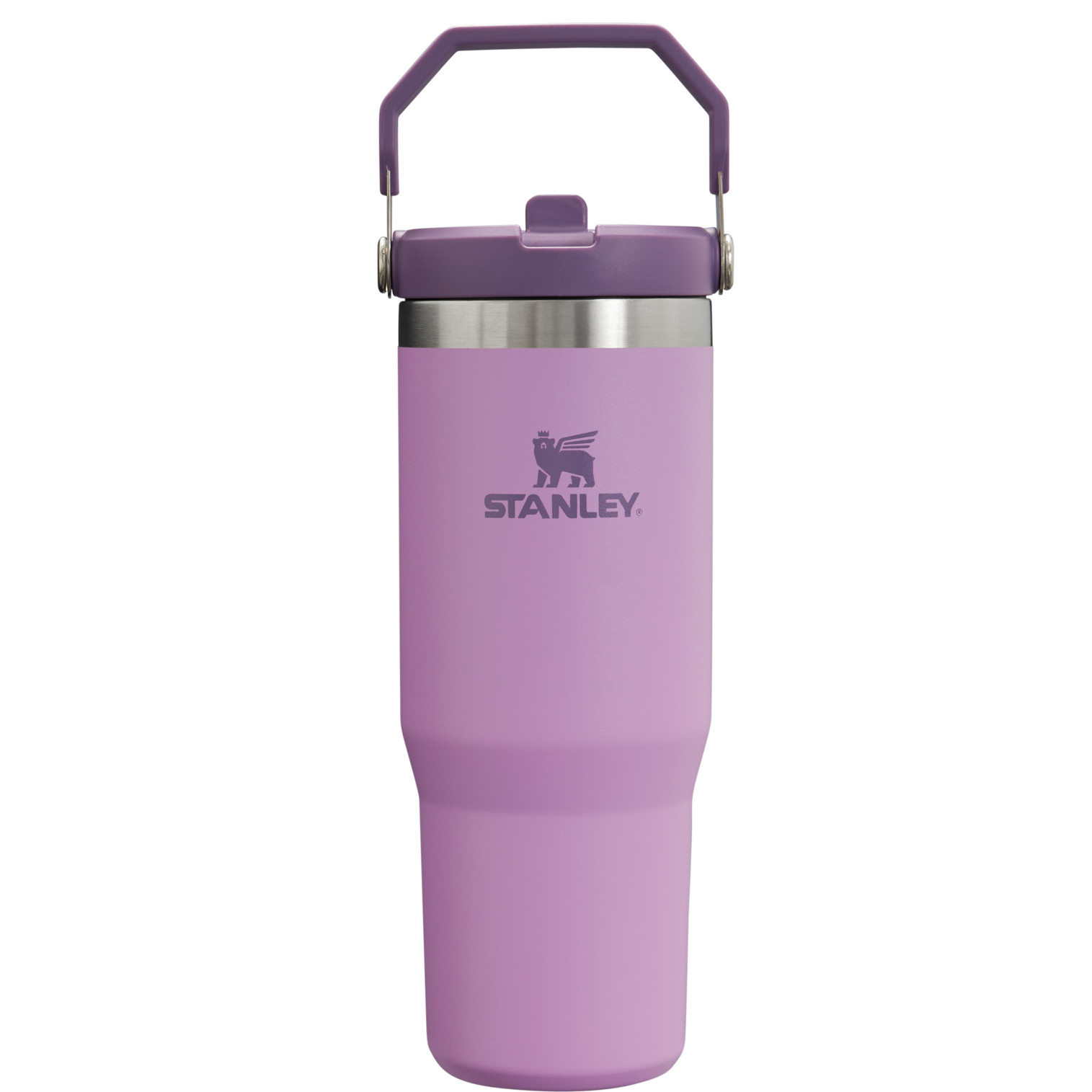 Stanley IceFlow Straw Tumbler - 30 fl. oz. Purple | REI